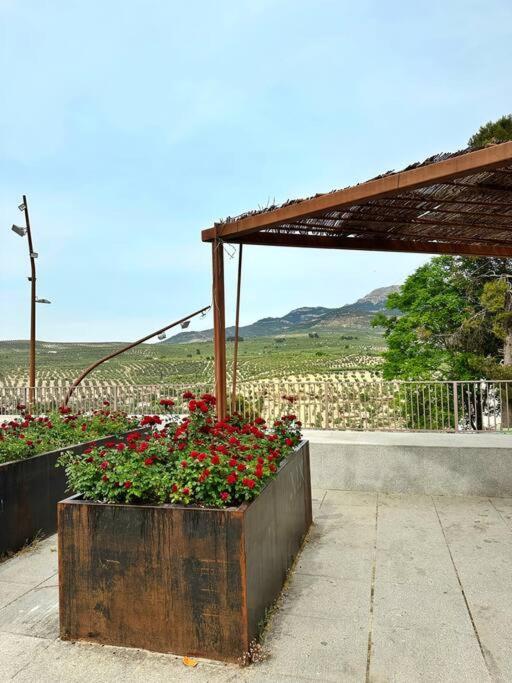 Los Molinos Quesada Zewnętrze zdjęcie